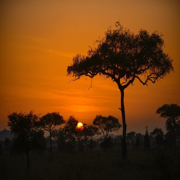 Asanja Africa Story | Exclusive Safaris in East Africa