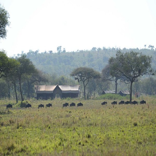 Luxury Safari Camps in Tanzania