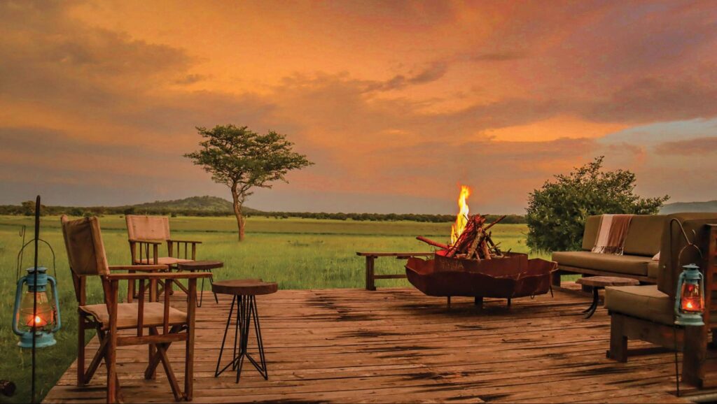 The Big Five and Beyond: Wildlife Experiences You Can’t Miss on a Tanzania Safari