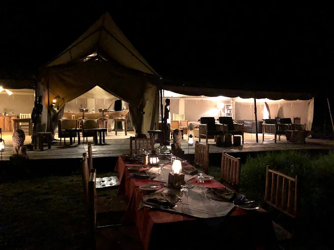 Serengeti Luxury Safari: Experience Africa in Style