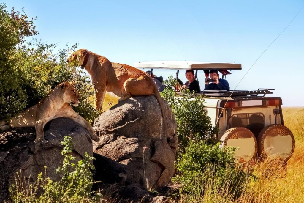 Serengeti Safari luxury