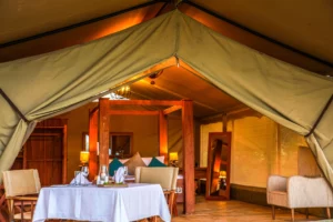 Luxury tent interior at Asanja Sri Bustani featuring an elegant four-poster bed, soft ambient lighting, and a private in-tent dining setup with a white tablecloth and fine glassware.