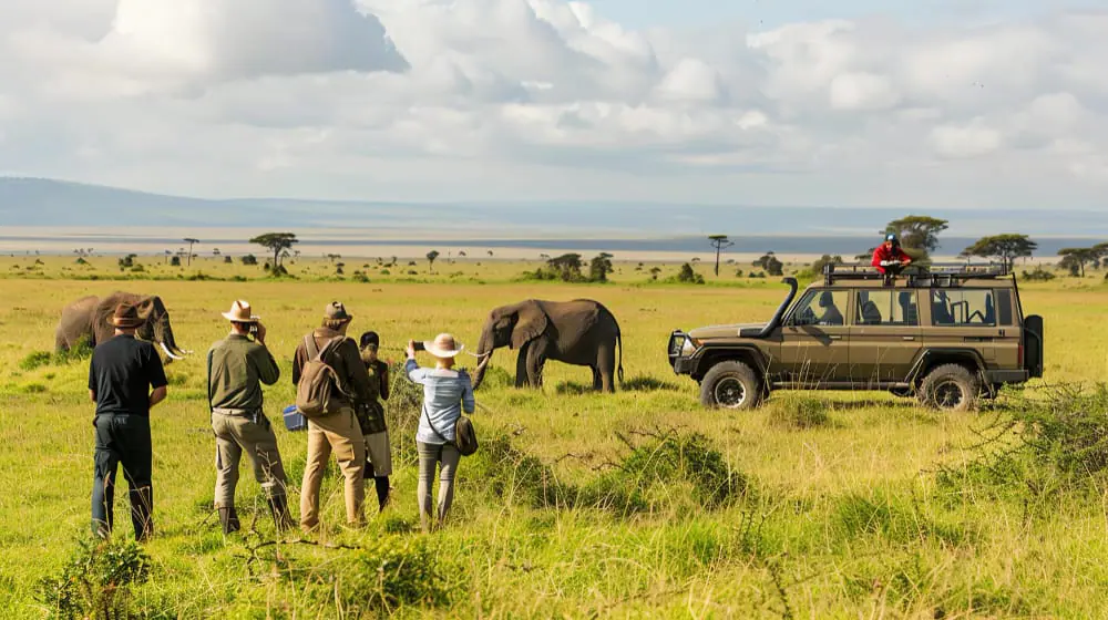 Serengeti Holiday Packages | Luxury and Budget Safari Tours