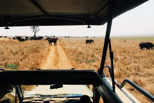 Serengeti Safaris: The Ultimate Guide to Tanzania’s Iconic Wildlife Adventure