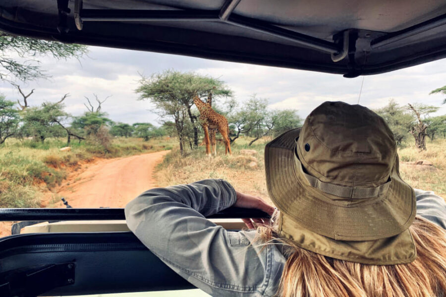 African Safari Tours Tanzania: Ultimate 2025 Travel Guide