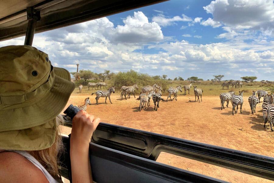 Tanzania Safari Packages: Your Complete Guide to the Best Tours in Africa
