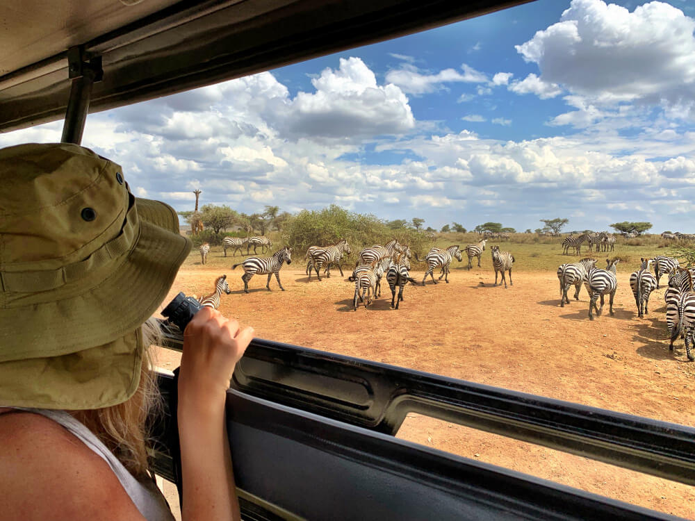 Tanzania Safari Packages: Your Complete Guide to the Best Tours in Africa