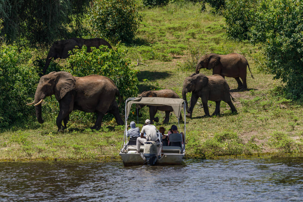 Tanzania Tourism Packages: A Complete Guide to Safaris, Beaches and Culture