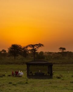 Tanzania Safari Experiences