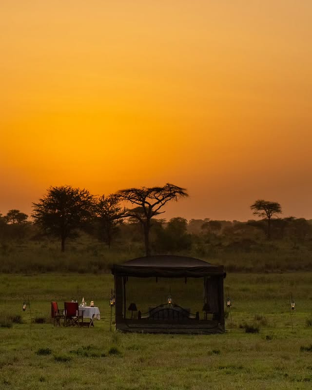 Tanzania Safari Experiences: Best Parks, Circuits and Wildlife Adventures