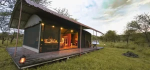 A cozy safari lodge in Tanzania featuring a raised wooden deck, canvas walls, warm interior lighting, and surrounded by grassy savannah and acacia trees at dusk.