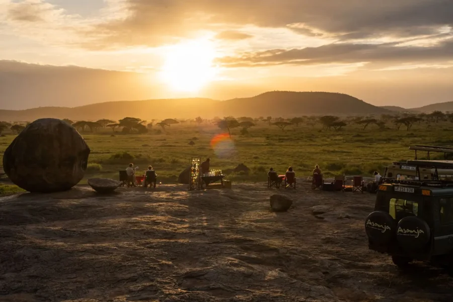 Tanzania Africa Safari: The Ultimate Guide to Africa’s Wild Heart