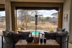 Luxury African safari lodge interior overlooking private plunge pool and wilderness landscape