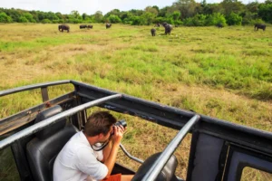 Photographer on a game drive capturing elephants during a 5-Day Serengeti Safari Itinerary