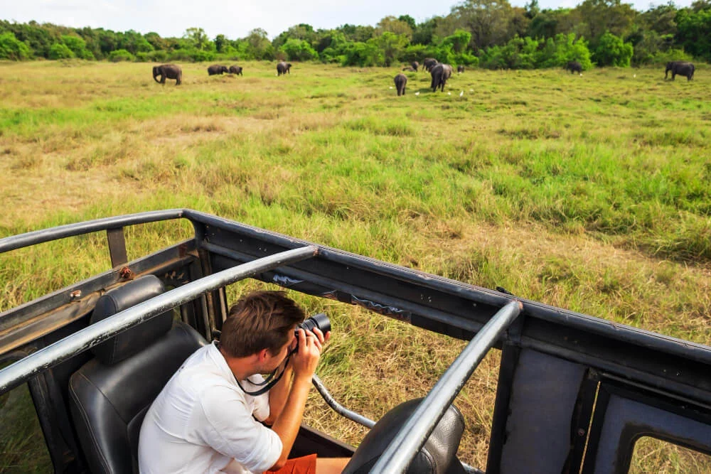 Photographer on a game drive capturing elephants during a 5-Day Serengeti Safari Itinerary