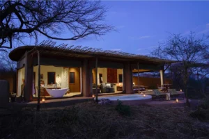 Plan Your Luxury Serengeti Safari Planning Guide 2026 With Asanja Africa