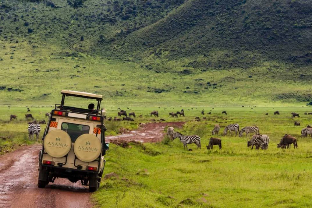 Safari vehicle exploring Serengeti National Park with zebras and wildlife in Tanzania