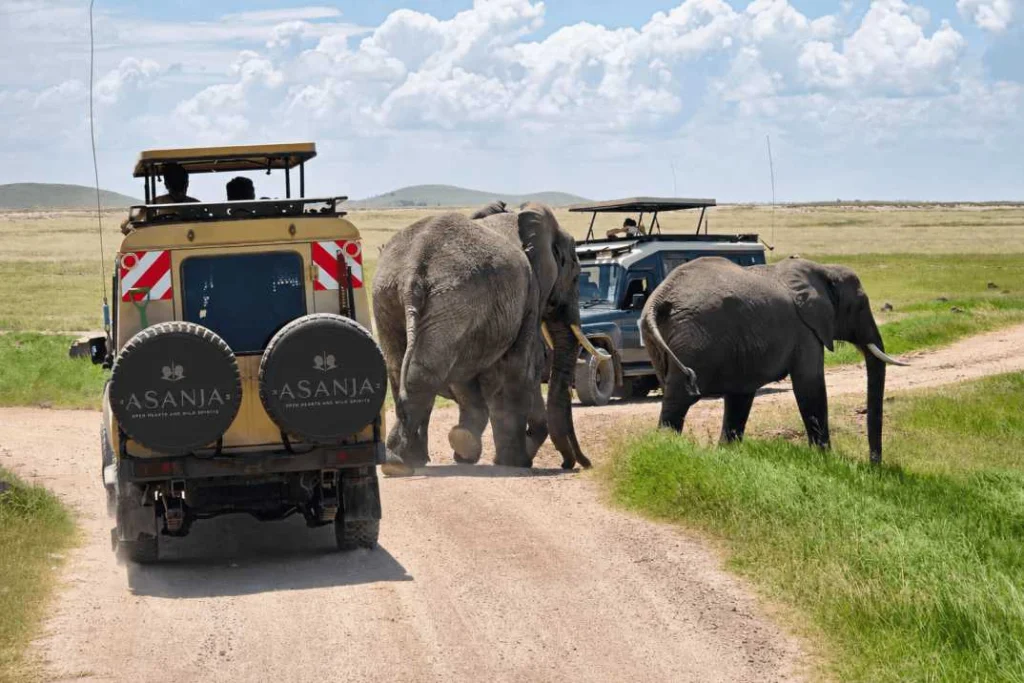 Safari vehicles watching elephants during an Africa Tanzania safari adventure